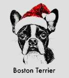 Paw & Claus Crewneck Sweatshirt