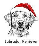 Paw & Claus Crewneck Sweatshirt