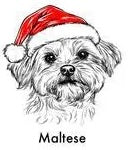 Paw & Claus Crewneck Sweatshirt