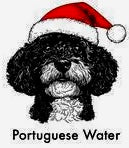 Paw & Claus Crewneck Sweatshirt